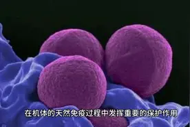 c反应蛋白高了是怎么回事？了解一下吧，对身体影响很大视频封面