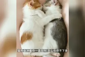 鬼缠身的征兆
