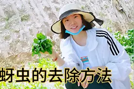 去除蚜虫的4种方法，不使用任何农药，安全实用，效果好视频封面