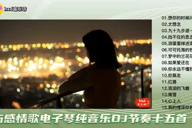 伤感情歌电子琴纯音乐DJ节奏15首/动听优美/@hxd音乐坊视频封面