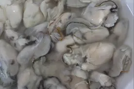 胶东大厨分享“牡蛎紫菜汤”的做法，详细易学美味，果断收藏了视频封面