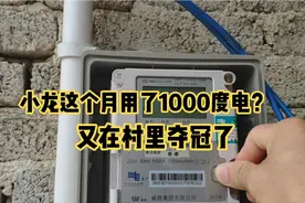 小龙这个月用了1000度电？成为村里的用电大户？简直浪费资源！视频封面