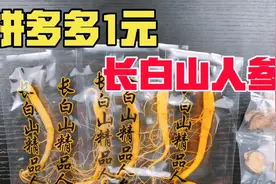 人参居然只要1元一根？拼多多超便宜长白山人参是怎样的？视频封面