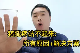 猪腿疼站不起来所有原因+解决方案视频封面