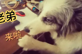 我是个普通的男人，为何如此喜欢我🤭