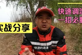 野钓中老钓友实战分享快速调漂，下竿即是巅峰，大板鲫持续爆护中视频封面