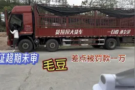 运营证超期未年检，查到被罚多少视频封面