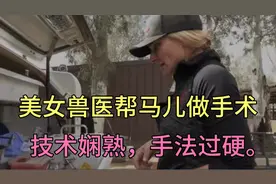 美女兽医帮马儿做绝育，技术娴熟，手法过硬。从此马儿一心跑步。视频封面