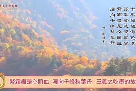 王羲之吃墨的故事。繁霜盡是心頭血。灑向千峰秋葉丹。视频封面