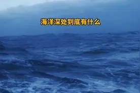 海洋深处到底有什么？这里面究竟隐藏着哪些未知的生物？视频封面