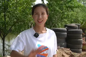 延延把爷爷家的斗鸡炖炖吃了，味道还不错视频封面