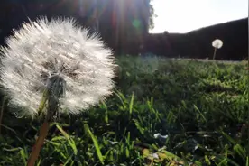 你的表情最可爱，我要一直笼爱你永远不分开视频封面