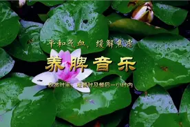 五音疗疾丨平和气血，改善气血，促进消化，缓解焦虑《水烟缘》视频封面