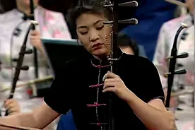 【宋飞】二胡与乐队《二泉映月》维也纳金色大厅1998视频封面