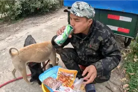 今天跑了50公里到宜城市，两个电池没电了，早早露营喝啤酒吃凤爪视频封面