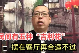 民间有5种吉利花，摆在客厅再合适不过，你知道都是哪些花吗视频封面