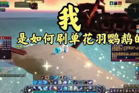 魔兽世界稀有宠物花羽鹦鹉最值钱的宠物之一如何刷到它呢血帆海盗视频封面