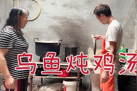 朋友都说乌鱼是愈合伤口的，今天安排起来，乌鱼炖鸡汤视频封面
