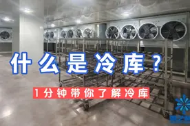 什么是冷库？冷库有什么作用？冷库造价视频封面