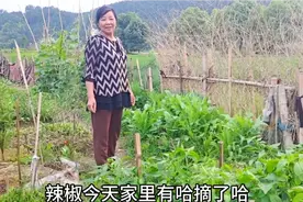 看看老妈的菜园里都有啥？一进园门眼花缭乱，你最喜欢吃什么？视频封面