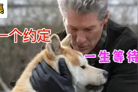 忠诚的狗狗，为了一个约定，用一生去等待主人视频封面