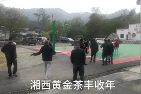 湘西黄金茶，隘口村每家每户制茶品茶，器具齐全，人人皆通茶艺！视频封面
