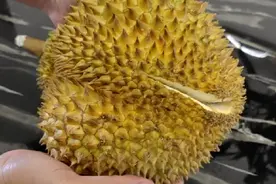 大厨解密：榴莲壳炖鸡汤的正宗家常做法，清香浓郁，广东人真会吃视频封面