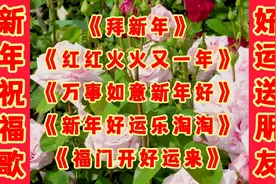 新年祝福歌《拜新年》《红红火火又一年》
《万事如意新年好》视频封面