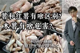 木薯和红薯有啥区别？它有什么危害？视频封面