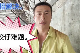 怎样解决母猪咬仔儿难题，一根电话线。三根鞋带轻松搞定。视频封面