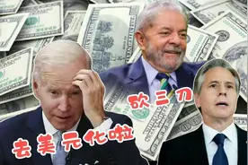 南腔北调搞笑配音：巴西也去美元化，小布说砍三刀救美元，哈哈视频封面