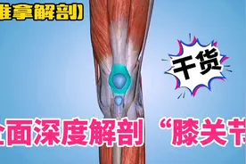 全面深度解剖“膝关节”【推拿解剖】视频封面