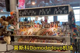 莫斯科Domodedovo办理退税奇遇视频封面