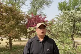 透过五官识人嘴巴之嘴巴突出与嘴巴歪斜（四）视频封面