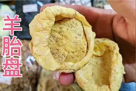中药材：羊胎盘。有的人拿羊胎盘冒充紫河车的，也就是人体胎盘。视频封面