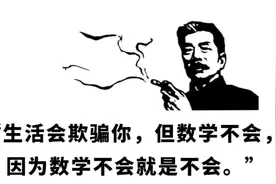 生活会欺骗你，但数学不会，因为数学不会就是不会视频封面