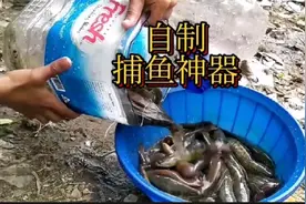 印度九岁小孩利用家中废弃油桶改装成捕鱼神器视频封面