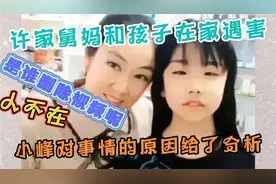 许家舅妈和孩子遇害 、小峰分析了事情原因 人不在是谁删掉视频呢视频封面