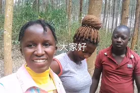 我们学会了如何种植 Caryptus 树，这对电线杆有好处视频封面