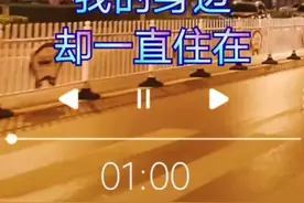 虽然你不在我的身边，我一直都在想着你。视频封面
