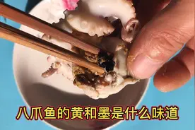 八爪鱼的黄和墨是什么味道 好不好吃 处理八爪鱼有窍门视频封面
