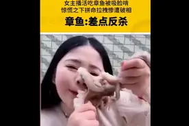 美女主播活吃章鱼被吸脸视频封面