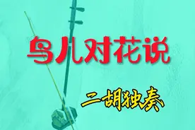 《鸟儿对花儿说》二胡独奏视频封面