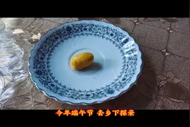机缘巧合，得到传说中的“鸡宝”视频封面