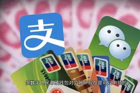 2022年3月1日微信和支付宝（停止）二维码收付款视频封面