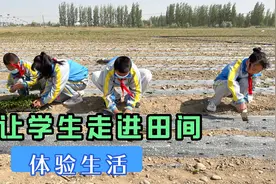 让学生带上本子走进田间谈感受是什么样的体验视频封面
