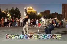 夜幕下的豹纹女大秀刚舞，妩媚动人又有几分狂野，独有的野性迷人视频封面