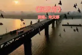一首《武汉伢》曾听哭武汉人视频封面
