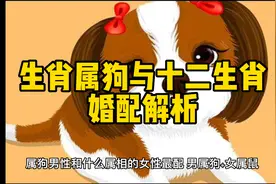 生肖属狗与十二生肖婚配解析#生肖婚配 #生肖视频封面