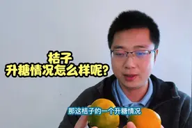 桔子的升糖情况如何？吃两个看看血糖变化情况！视频封面